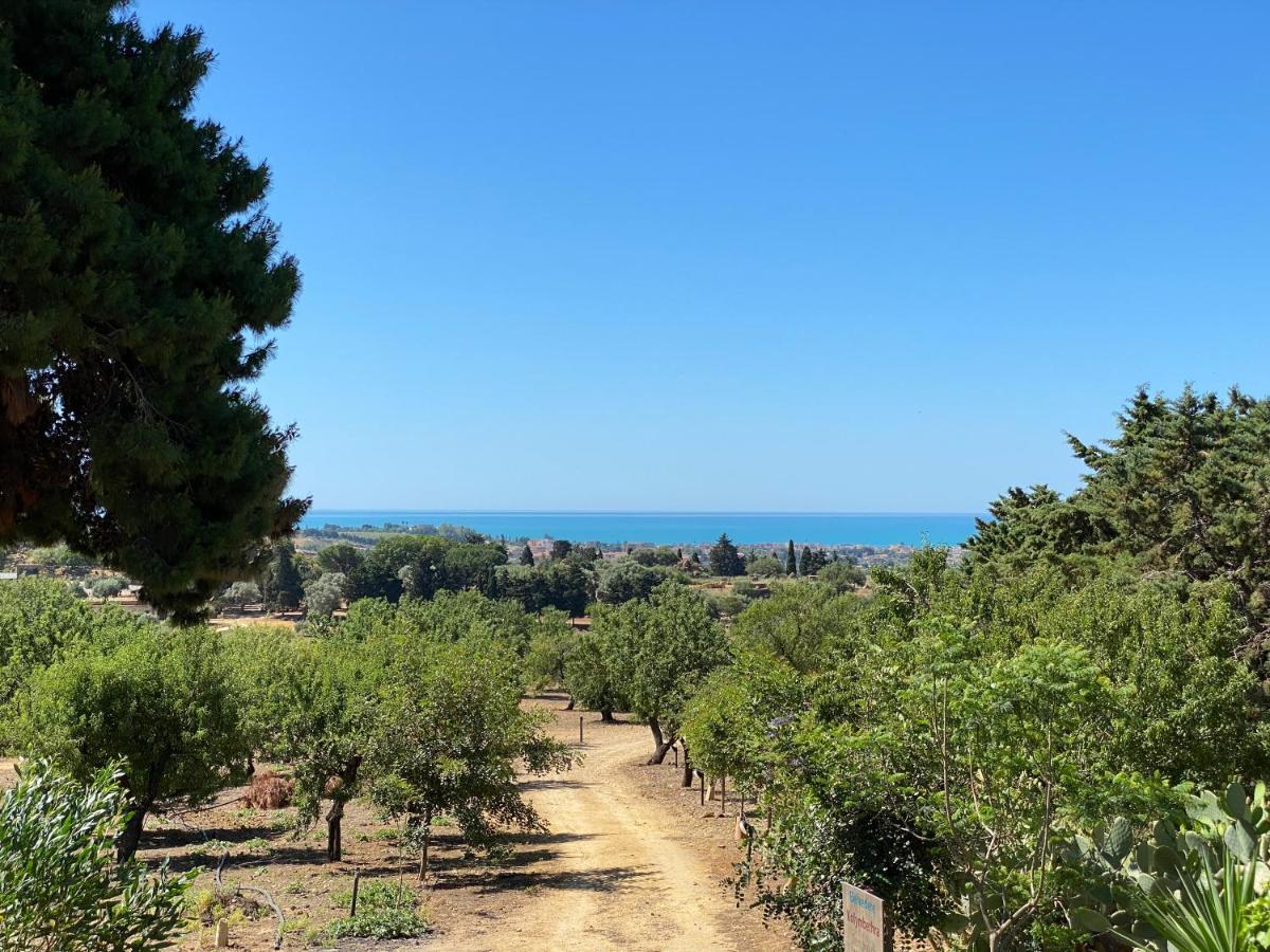 B&B Villa San Marco Agrigento Exteriör bild